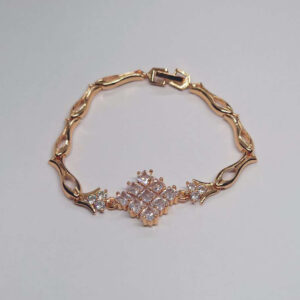 Elegant Shiny Iced Claw Chain Bracelet